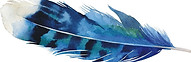 watercolour blue feather CROPPED.jpg