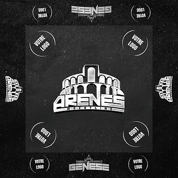 tapis et jupe arenes sponsor.png