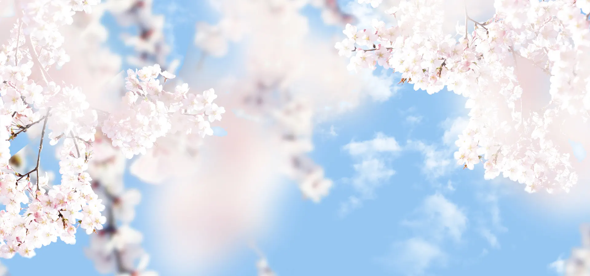 Pngtree942.webp