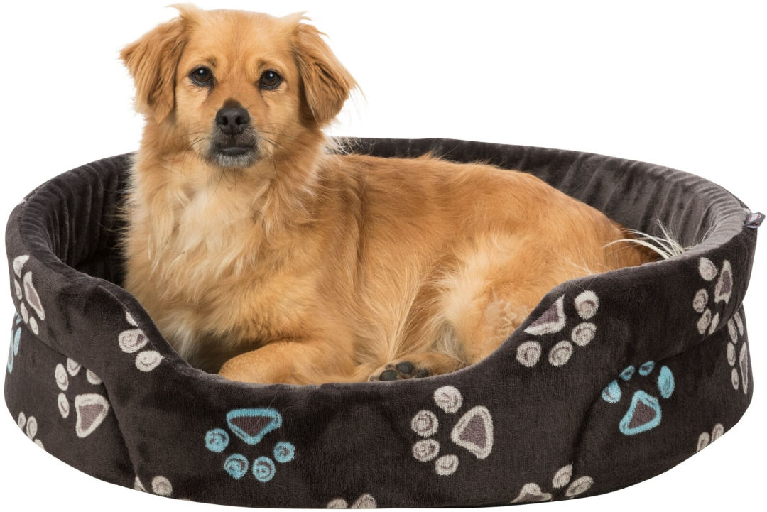 Trixie Bed Jimmy