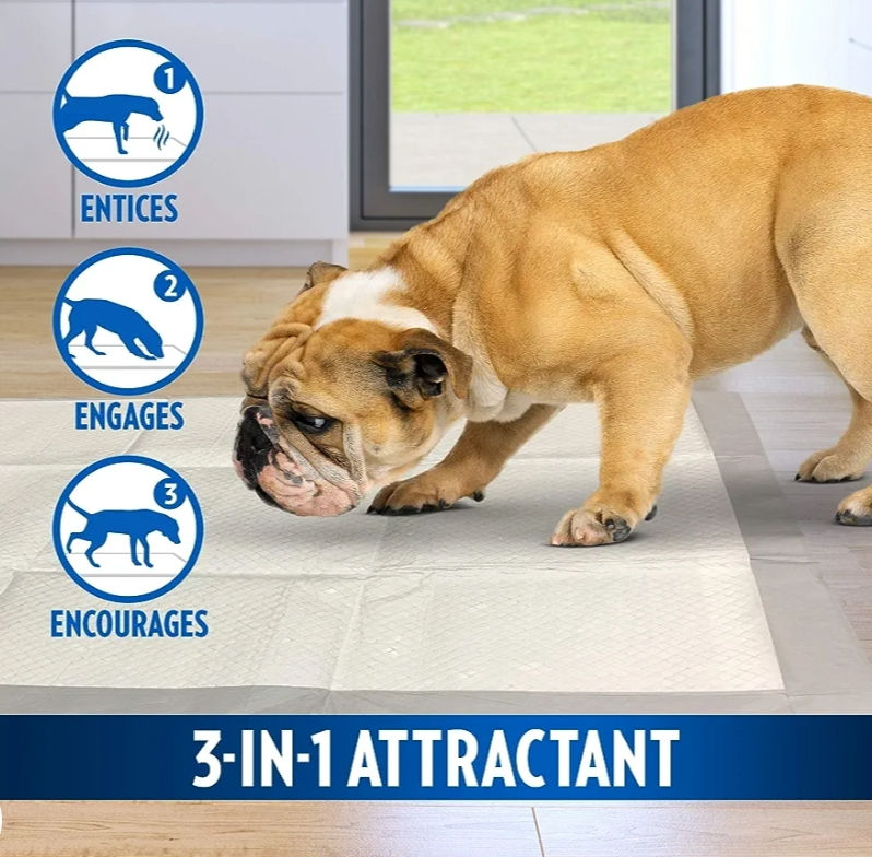 Thumbnail: OUT! Go Here Absorbent Pet and Puppy Training Pad x10