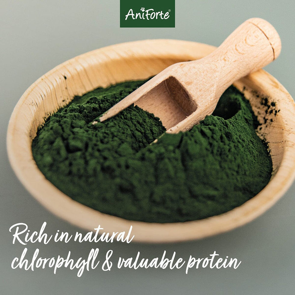 Thumbnail: Organic Spirulina Platensis Algae Powder - 250g