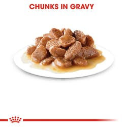 Thumbnail: Hairball Care Gravy Wet