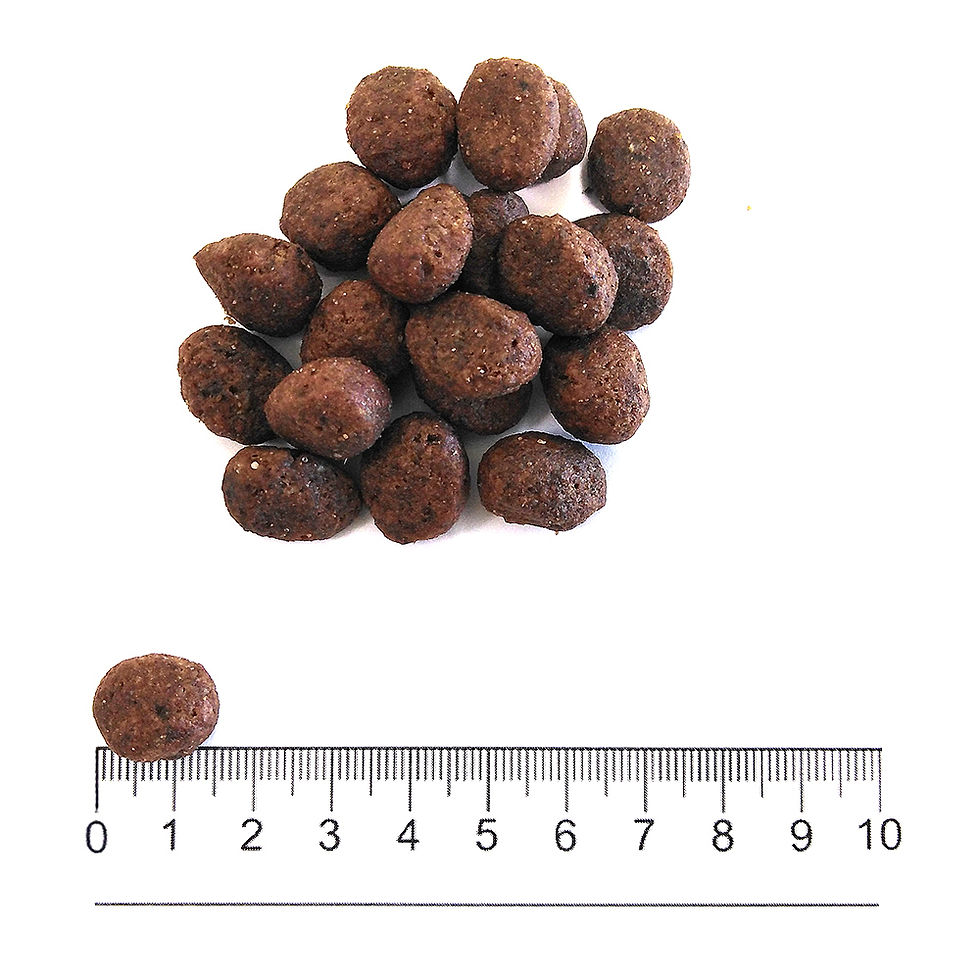 Thumbnail: ProLife Grain Free Adult Sensitive Beef & Potato - Medium/Large
