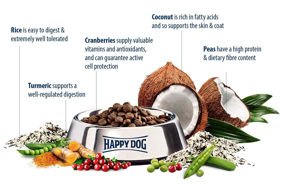 Thumbnail: Happy Dog
Sensible India M/L