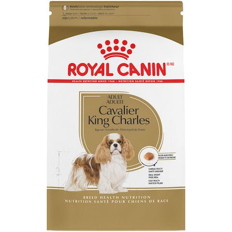 Royal Canin Cavalier King Charles Adult Dry Dog Food