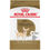 Thumbnail: Chihuahua Adult Dry Dog Food
