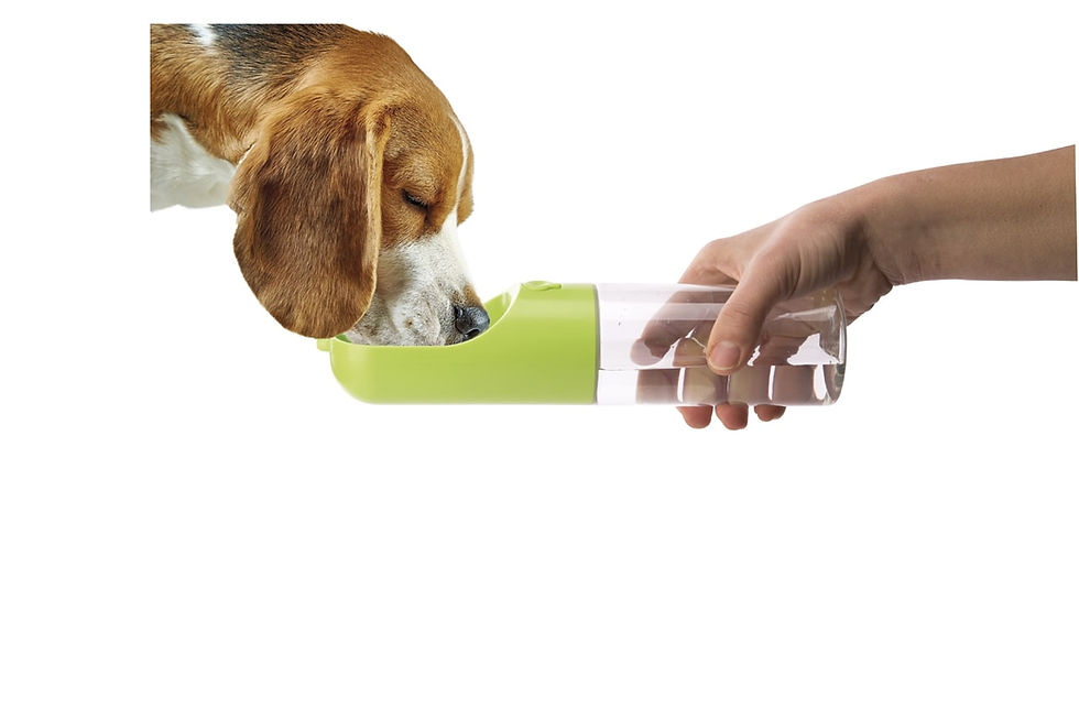 Thumbnail: Flamingo One Touch Dispenser