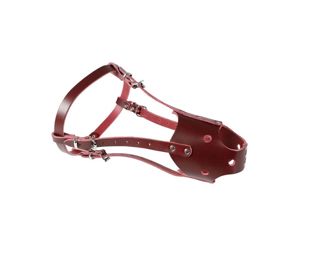 Flamingo Leather Muzzle