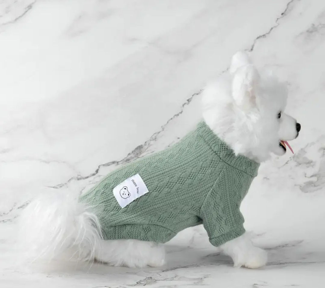 JP Fashion Knitted Pet Sweater Mint Green And Black 