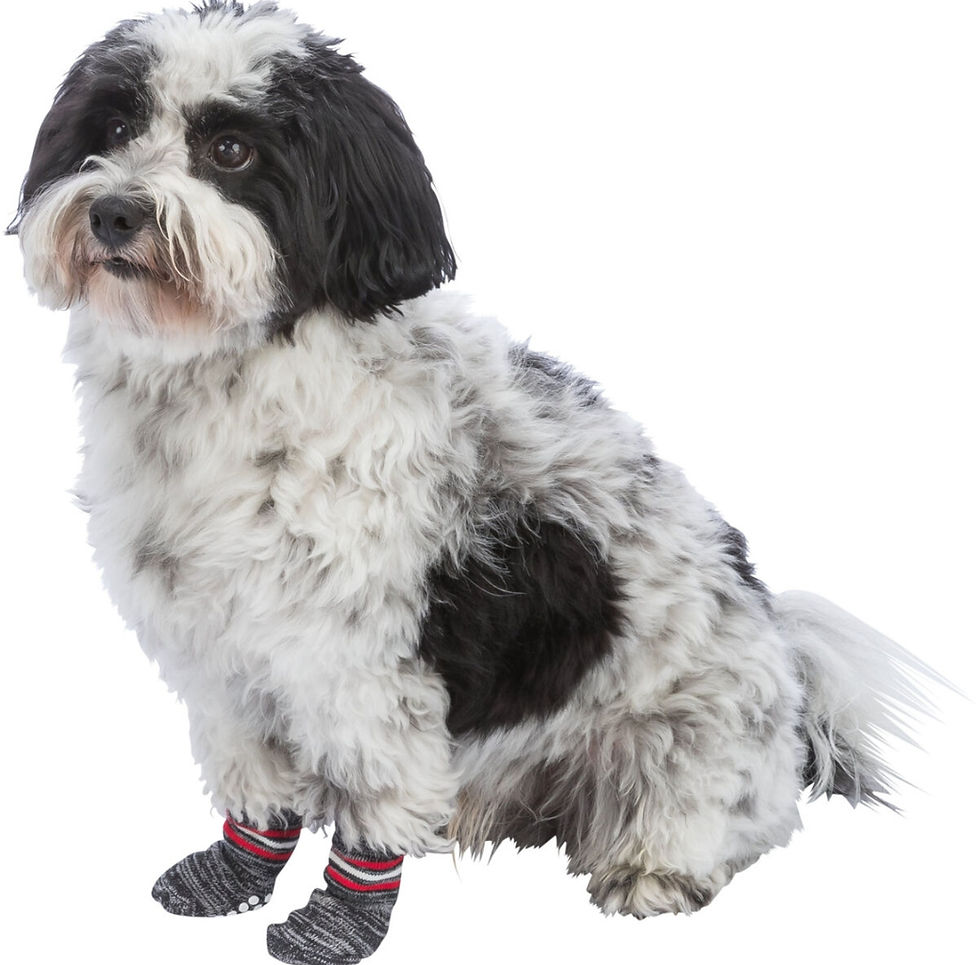 Thumbnail: Dog Socks