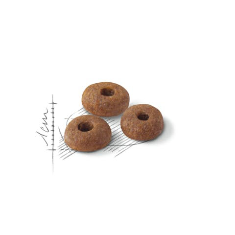 Thumbnail: Royal Canin Fit And Active Dry Cat Food