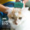 Thumbnail: Furminator Undercoat deShedding Tool Small Cat Short Hair