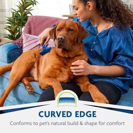 Thumbnail: Furminator Undercoat deShedding Tool Large Dog Short Hair