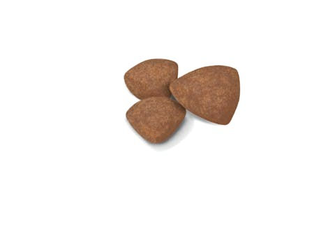 Thumbnail: Royal Canin SMALL Puppy Dry Dog Food