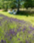 IMG_1845.png