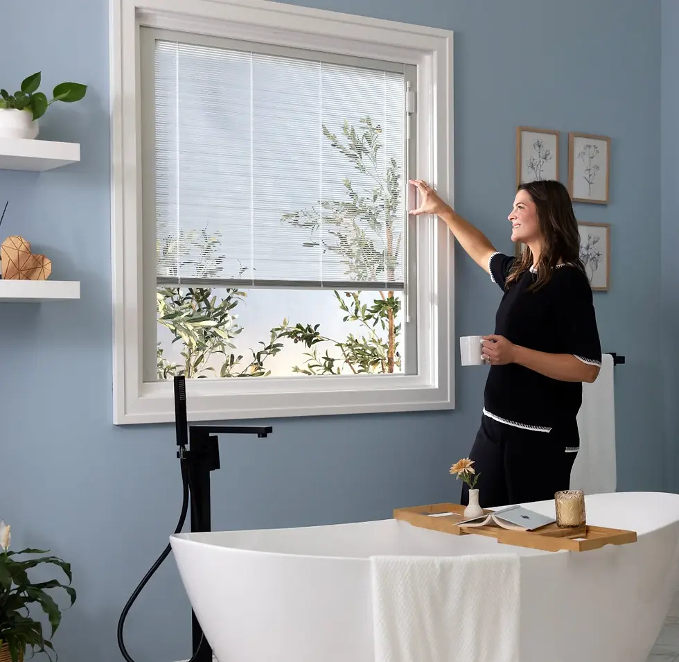ODL_P&S_Blinds+Glass.webp