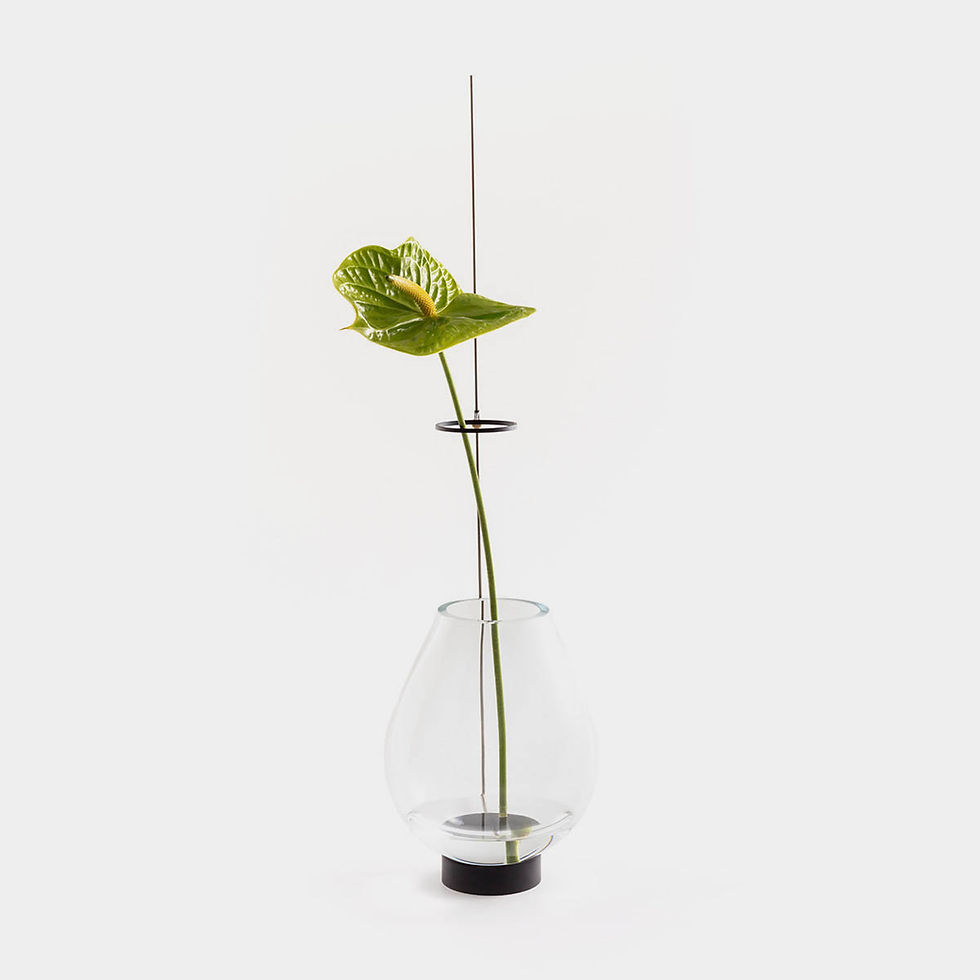 Thumbnail: Vase Antenna