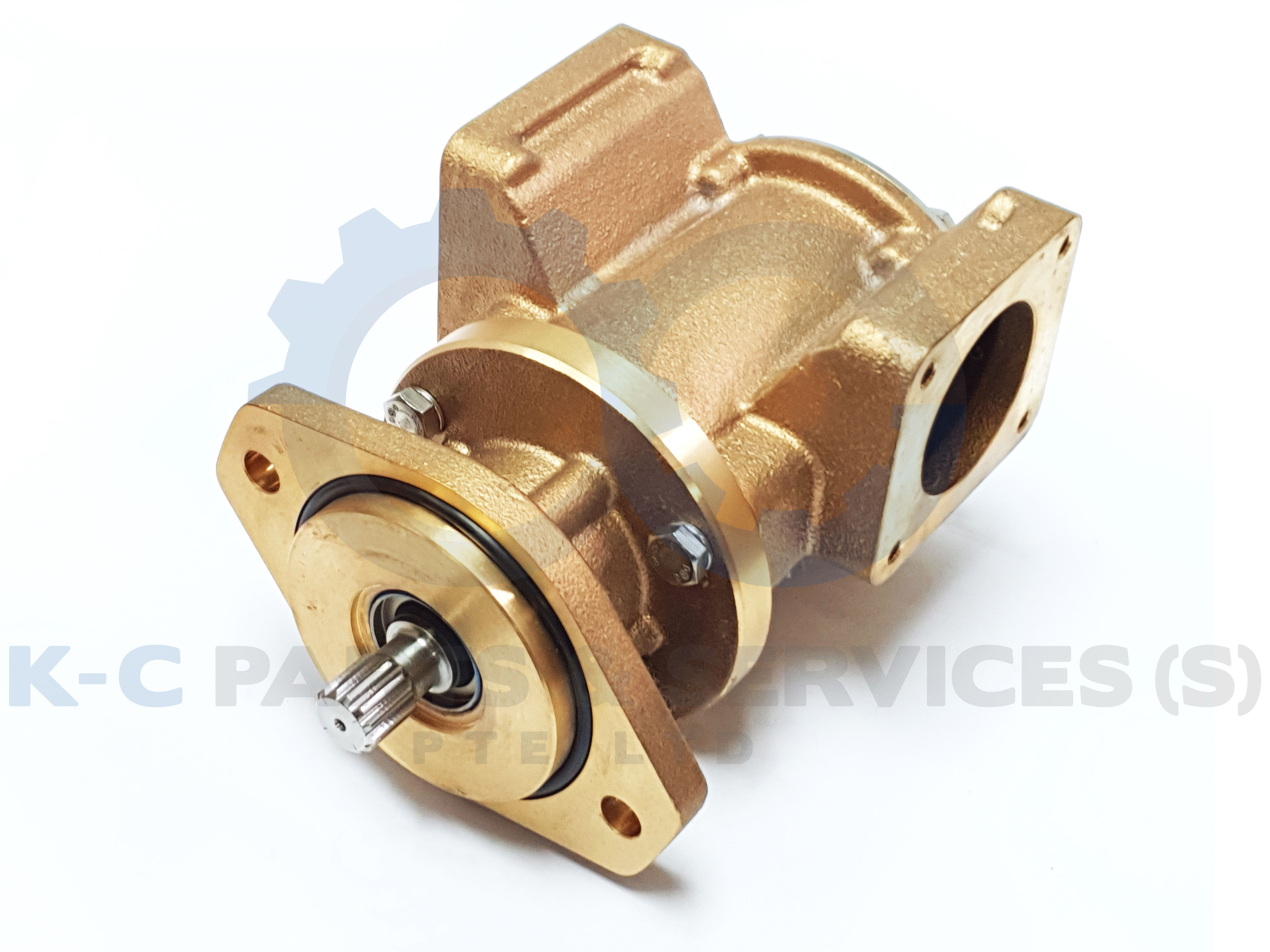 JPR-JD60IF Seawater Pump