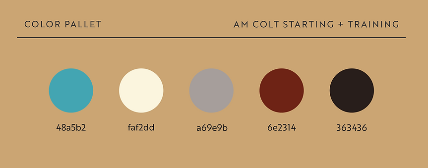 AM Color Pallet