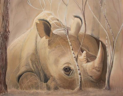 Judith_MacKey_-_Rhino_web_pic_7079bf17-9
