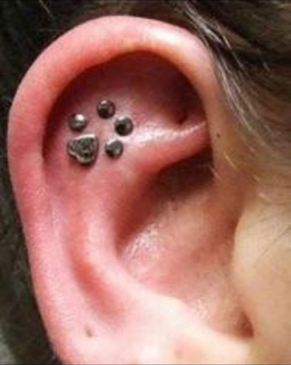 Ear with several cartilage piercings