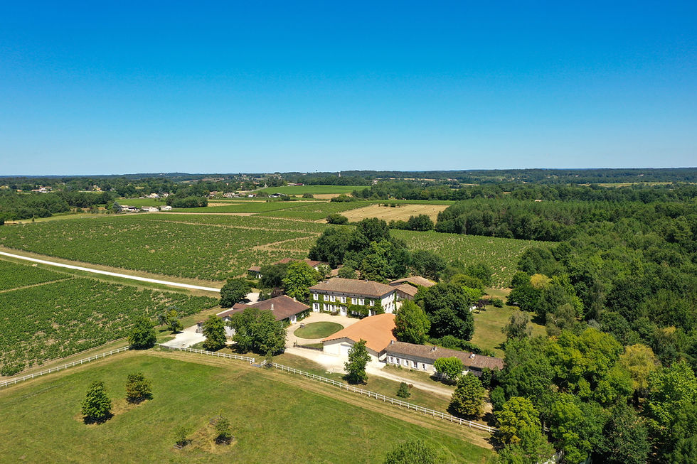 Dégustation à Saint-Émilion : comment organiser vos visites sur la rive droite