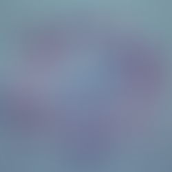 E-commerce Trends for 2025: The Future of Online Shopping