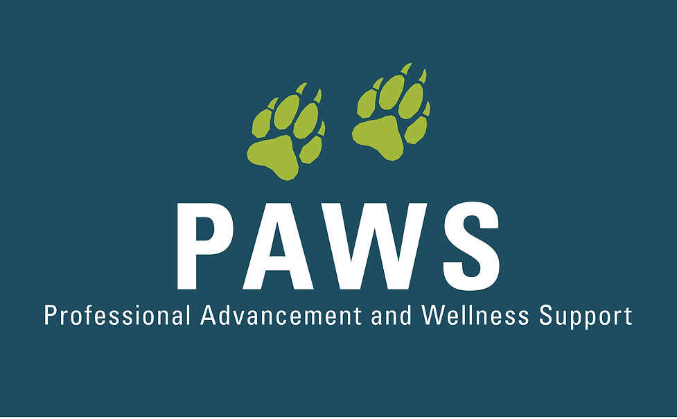 Paws options-h3-selected-rgb-outlines on blue splash screen.jpg