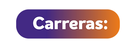 Mesa de trabajo 4 copia.png