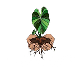 _Ohana (Logo) New.png