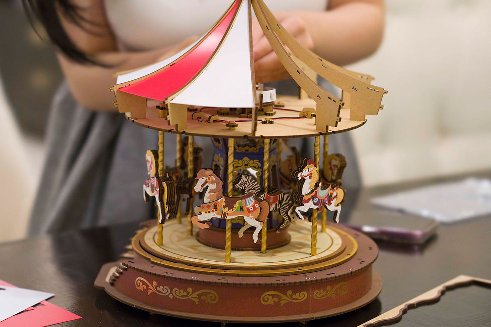 And lastly, installing the roof.