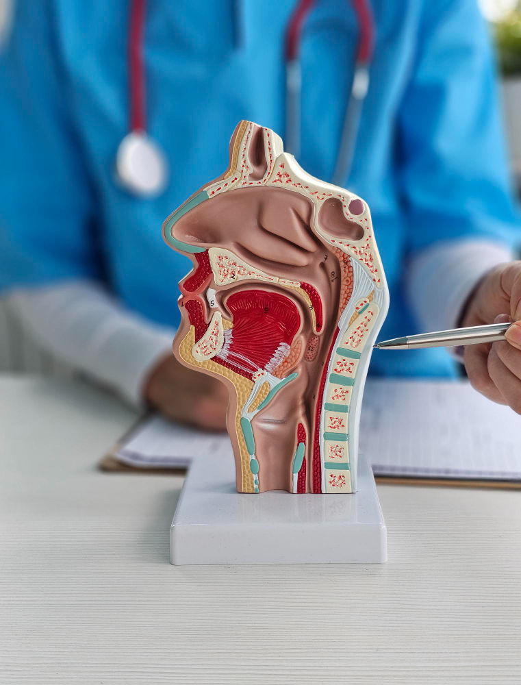 בדיקת אנדוסקופיה של הגרון ומיתרי הקול