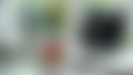 מחפשים שדרוג פינת הקפה? תזמינו תה