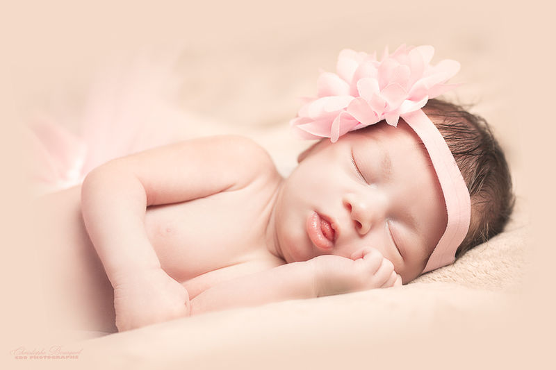 Photographe Naissance
Belfort Montbéliard