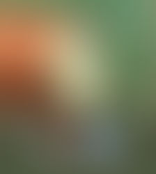 Sewer Lining / CIPP (Cured-in-Place Pipe) Replacement