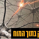 bar-ilan.gif