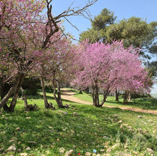 image11 (1).jpeg