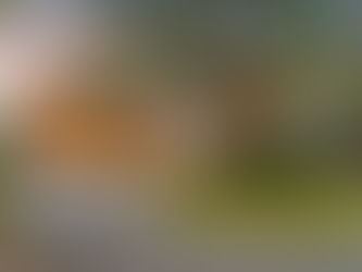 Downsizer's Dream in Regent's Park - 3 bed, 2 bath, double garage, 503sqm section in park-like setting