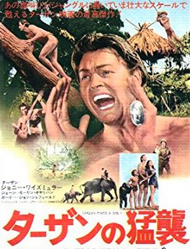 世界の死生観 死 ワイズミュラーの最期 世界の死生観 死 ワイズミュラーの最期