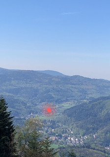 auerhahn.jpeg