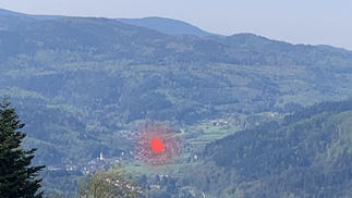 Auerhahn.jpeg