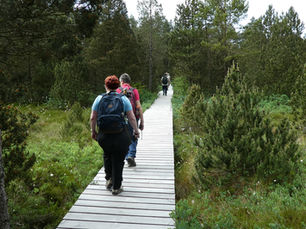 Wanderung auf dem Schinkenweg am15. Juni