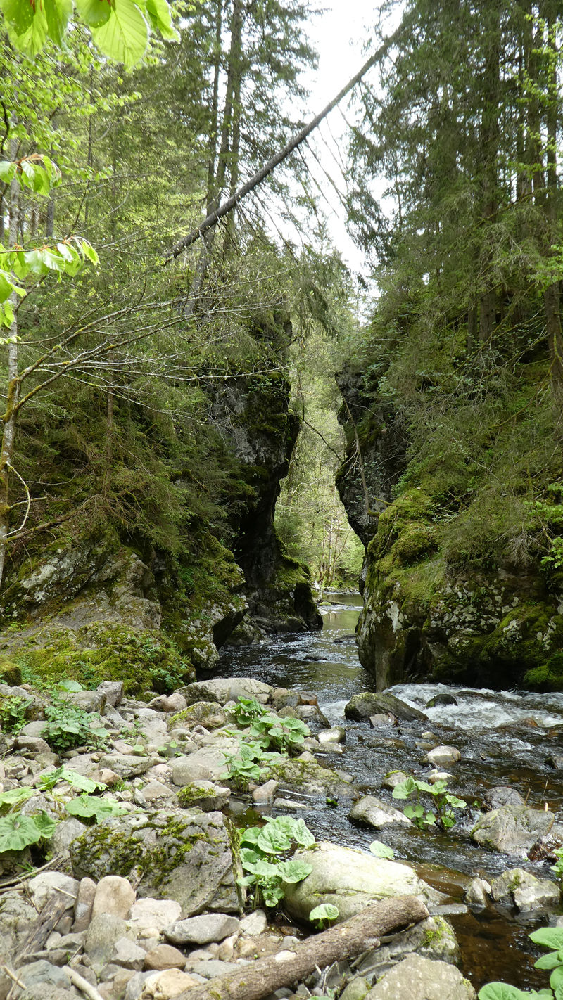 20240504_Viadukt-Schluchtentour_Vorw (12).jpg