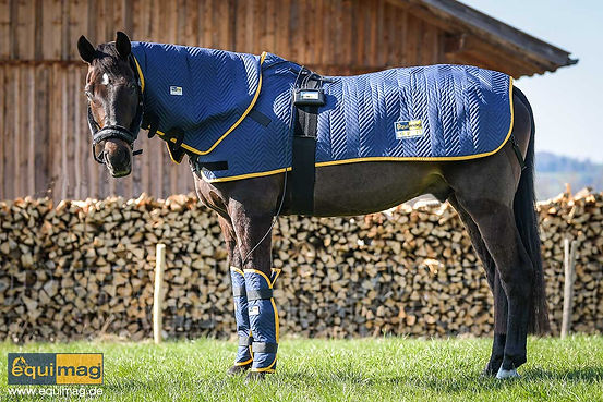 equimag-expert-profi-ausstattung-pn-2001_1280_063.jpg