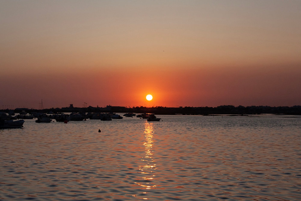 Gluten free Guide to Faro