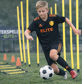 Tekspeler Elite Player