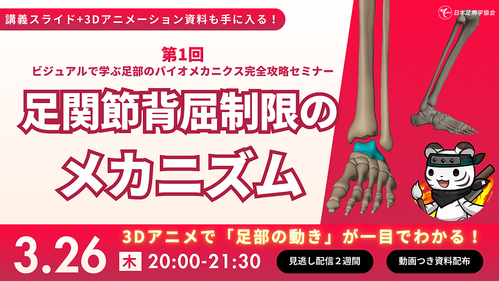 ビジュアルで学ぶ足部のバイオメカニクス完全攻略セミナー 第1回　〜足関節背屈制限のメカニズム〜