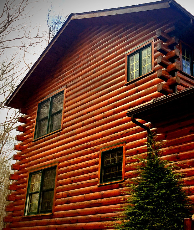 Log home exterior after expert power washing