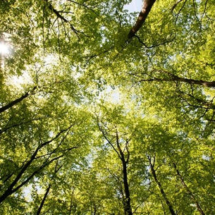 DMS technologies goes zero carbon with British Gas